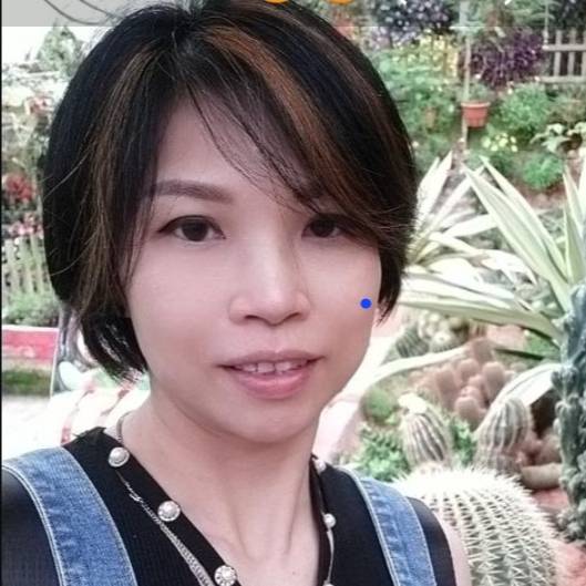 Sook Yan Wong